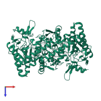 Nitric oxide synthase 1 in PDB entry 1mmw, assembly 1, top view.