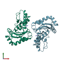 PDB entry 1mng coloured by chain, front view.