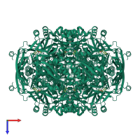 Homo octameric assembly 1 of PDB entry 1mns coloured by chemically distinct molecules, top view.