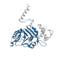 The deposited structure of PDB entry 1mo6 contains 1 copy of CATH domain 3.40.50.300 (Rossmann fold) in RecA. Showing 1 copy in chain A.