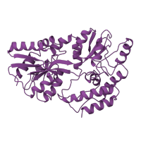 The deposited structure of PDB entry 1mpb contains 1 copy of SCOP domain 53851 (Phosphate binding protein-like) in Maltose/maltodextrin-binding periplasmic protein. Showing 1 copy in chain A.