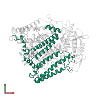 Reaction center protein L chain in PDB entry 1mps, assembly 1, front view.