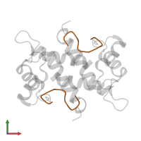 F-actin-capping protein subunit alpha-1 in PDB entry 1mq1, assembly 1, front view.