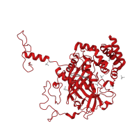 The deposited structure of PDB entry 1mqf contains 1 copy of CATH domain 2.40.180.10 (Catalase HpII,  Chain A, domain 1) in Catalase. Showing 1 copy in chain A.