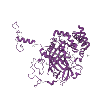 The deposited structure of PDB entry 1mqf contains 1 copy of SCOP domain 56635 (Heme-dependent catalases) in Catalase. Showing 1 copy in chain A.