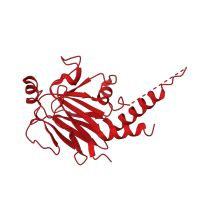 The deposited structure of PDB entry 1mr1 contains 2 copies of CATH domain 2.60.200.10 (Tumour Suppressor Smad4) in Mothers against decapentaplegic homolog 4. Showing 1 copy in chain A.