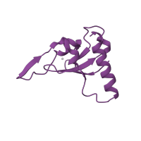 The deposited structure of PDB entry 1mr1 contains 2 copies of CATH domain 3.10.390.10 (SAND domain) in Ski oncogene. Showing 1 copy in chain C.