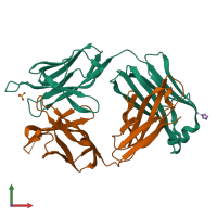 PDB entry 1mrc coloured by chain, front view.