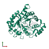 Aldo-keto reductase family 1 member C1 in PDB entry 1mrq, assembly 1, front view.