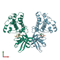 PDB entry 1mru coloured by chain, front view.