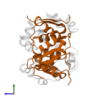 Insulin B chain in PDB entry 1mso, assembly 1, side view.