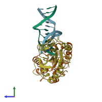 PDB entry 1mtl coloured by chain, side view.