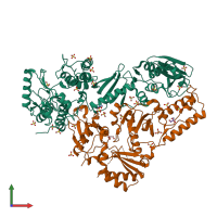 PDB entry 1mu2 coloured by chain, front view.