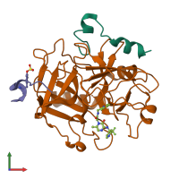 PDB entry 1mu6 coloured by chain, front view.