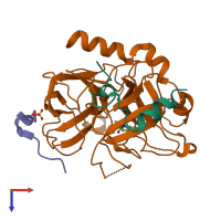 PDB entry 1mue coloured by chain, top view.
