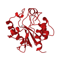 The deposited structure of PDB entry 1mug contains 1 copy of CATH domain 3.40.470.10 (Uracil-DNA Glycosylase, subunit E) in G/U mismatch-specific DNA glycosylase. Showing 1 copy in chain A.