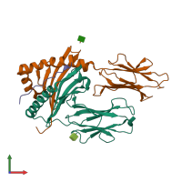 PDB entry 1muj coloured by chain, front view.