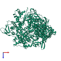 RNA-directed RNA polymerase lambda-3 in PDB entry 1muk, assembly 1, top view.
