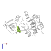 ADENOSINE in PDB entry 1muo, assembly 1, top view.