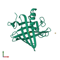 PDB entry 1mup coloured by chain, front view.