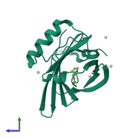 PDB entry 1mup coloured by chain, side view.