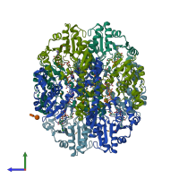 PDB entry 1muu coloured by chain, side view.