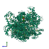 PDB entry 1mux coloured by chain, ensemble of 30 models, side view.