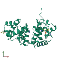 PDB entry 1muy coloured by chain, front view.