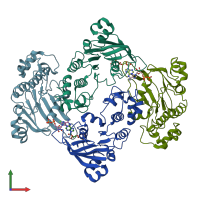 PDB entry 1mv5 coloured by chain, front view.