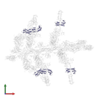 Myosin light chain 3, skeletal muscle isoform in PDB entry 1mvw, assembly 1, front view.