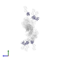 Myosin light chain 3, skeletal muscle isoform in PDB entry 1mvw, assembly 1, side view.