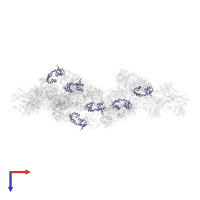 Myosin light chain 3, skeletal muscle isoform in PDB entry 1mvw, assembly 1, top view.