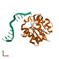 PDB entry 1mwi coloured by chain, front view.