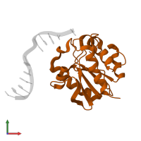 G/U mismatch-specific DNA glycosylase in PDB entry 1mwi, assembly 1, front view.