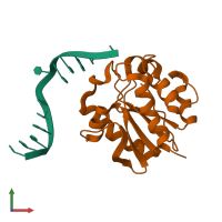 PDB entry 1mwj coloured by chain, front view.