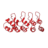 The deposited structure of PDB entry 1mx2 contains 2 copies of CATH domain 1.25.40.20 (Serine Threonine Protein Phosphatase 5, Tetratricopeptide repeat) in Cyclin-dependent kinase 4 inhibitor C. Showing 1 copy in chain A.