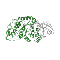 The deposited structure of PDB entry 1mxd contains 1 copy of Pfam domain PF00128 (Alpha amylase, catalytic domain) in Glycosyl hydrolase family 13 catalytic domain-containing protein. Showing 1 copy in chain A.