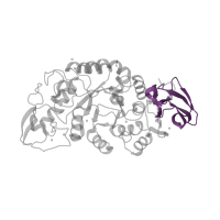 The deposited structure of PDB entry 1mxd contains 1 copy of Pfam domain PF09154 (Alpha-amylase C-terminal) in Glycosyl hydrolase family 13 catalytic domain-containing protein. Showing 1 copy in chain A.