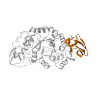 The deposited structure of PDB entry 1mxd contains 1 copy of SCOP domain 51012 (alpha-Amylases, C-terminal beta-sheet domain) in Glycosyl hydrolase family 13 catalytic domain-containing protein. Showing 1 copy in chain A.