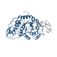 The deposited structure of PDB entry 1mxg contains 1 copy of CATH domain 3.20.20.80 (TIM Barrel) in Glycosyl hydrolase family 13 catalytic domain-containing protein. Showing 1 copy in chain A.