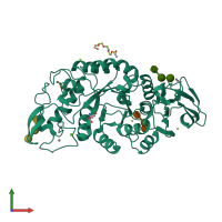 PDB entry 1mxg coloured by chain, front view.