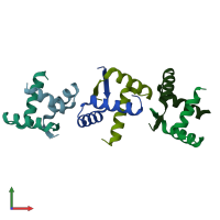 PDB entry 1myl coloured by chain, front view.