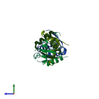 PDB entry 1myl coloured by chain, side view.
