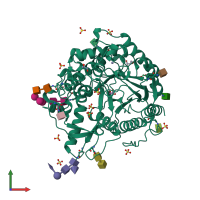 PDB entry 1myr coloured by chain, front view.