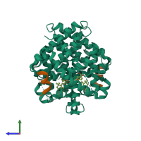 Hetero tetrameric assembly 1 of PDB entry 1mzn coloured by chemically distinct molecules, side view.