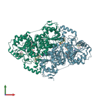 PDB entry 1n0h coloured by chain, front view.