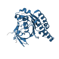 The deposited structure of PDB entry 1n0w contains 1 copy of Pfam domain PF08423 (Rad51) in DNA repair protein RAD51 homolog 1. Showing 1 copy in chain A.