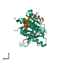 Hetero tetrameric assembly 1 of PDB entry 1n0w coloured by chemically distinct molecules, side view.