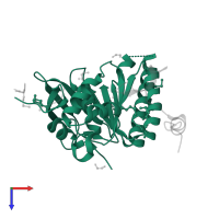 DNA repair protein RAD51 homolog 1 in PDB entry 1n0w, assembly 1, top view.