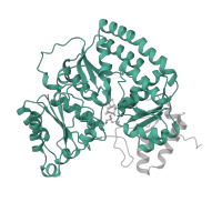 The deposited structure of PDB entry 1n2c contains 2 copies of Pfam domain PF00148 (Nitrogenase component 1 type Oxidoreductase) in Nitrogenase molybdenum-iron protein alpha chain. Showing 1 copy in chain A.